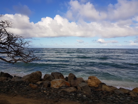 오아후섬 바다 풍경.jpg